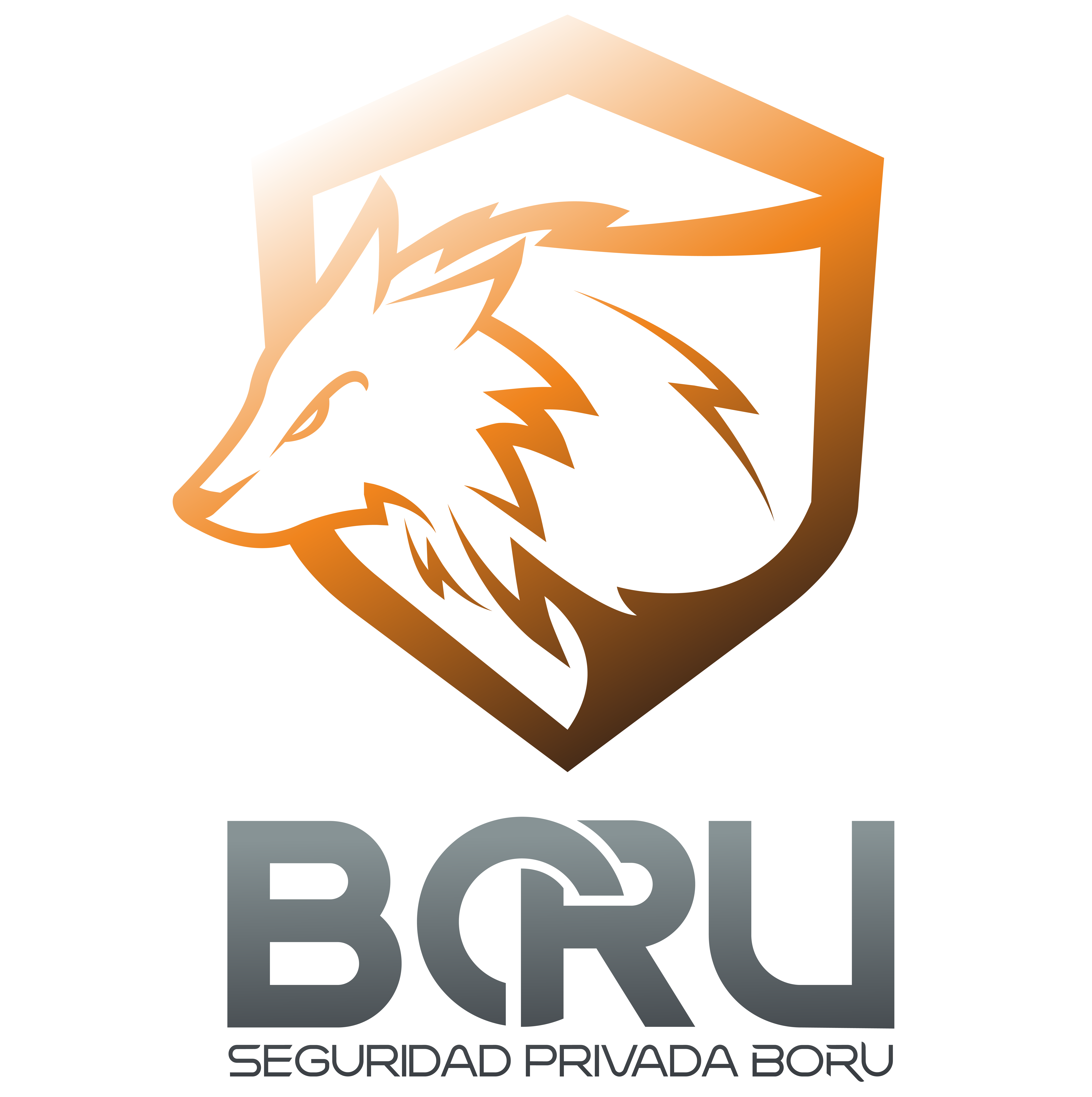 BORU Seguridad Privada